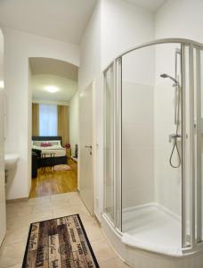uma casa de banho com um chuveiro e um lavatório. em Flarent Economy Apartments em Viena