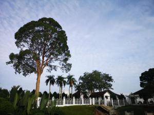 een boom voor een wit hek bij Riverbank Suites Kuching Waterfront in Kuching