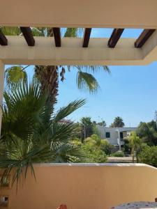 a view of a palm tree from a balcony at V Appartamenti in Baia Verde