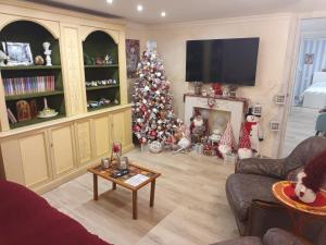 una sala de estar con un árbol de Navidad frente a una chimenea en Alessandra‘s House en Arezzo