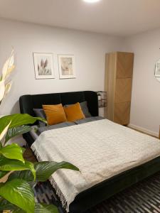 Un dormitorio con una cama con almohadas amarillas y una planta en AlmaOldTown - Centrum - Check-In 24h, en Wroclaw