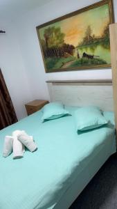 a bed with two pillows and a painting on the wall at Nova Montan Azuga in Azuga