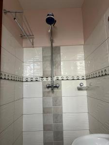 uma casa de banho com um chuveiro e um lavatório. em C & T luxury apartments em Nakuru