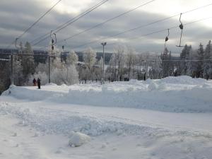 Holiday Home Hultet by Interhome v zimě