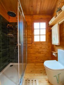 a bathroom with a shower and a toilet and a tub at Vale do Laranjal in Setúbal
