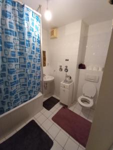 a bathroom with a shower curtain and a toilet at Tolle private 2-Zimmer Wohnung im Szene Bezirk Berlin-Friedrichshain in Berlin