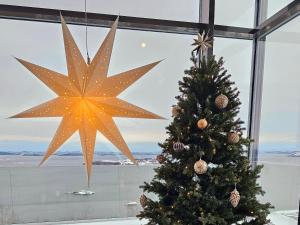 Un árbol de Navidad en una ventana con una gran estrella en Pepsitoppen Villa en Tau