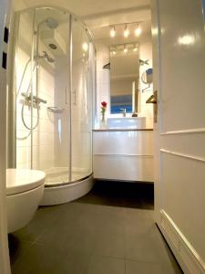 a bathroom with a shower and a toilet and a sink at Stutenhof-EG-Wohnung-3 in Keitum