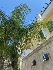 una palmera frente a un edificio en V Appartamenti, en Baia Verde