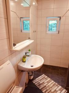 y baño con lavabo y espejo. en Extertal-Ferienpark - Premium Ferienhaus Sonnental - Sauna #50, en Extertal