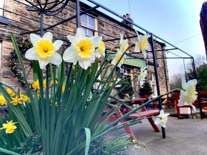 a bunch of white and yellow flowers in front of a building at The Postgate Inn in Egton