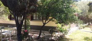 um jardim com duas árvores e cadeiras e um edifício em Casa Los Rosales, amplia, cómoda, excelente ubicación con cochera em Puerto Madryn
