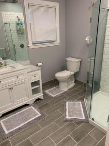 a bathroom with a toilet and a shower and a sink at RobbinsStreetWaltham in Waltham