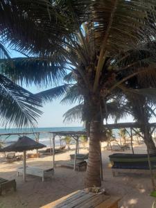 Billede fra billedgalleriet på Smile Gambia Beach Bar i Brufut