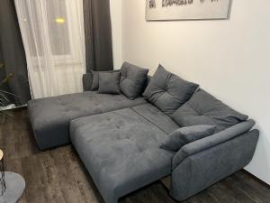 紐倫堡的住宿－Wohnung in Altstadtnaehe，客厅里一张灰色沙发