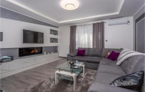 - un salon avec un canapé et une cheminée dans l'établissement Gorgeous Apartment In Cavle With Wi-fi, à Čavle