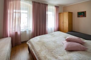 ein Schlafzimmer mit einem Bett mit zwei Kissen und einem Fenster in der Unterkunft gemütliche Ferienwohnungen im Erzgebrige in Sehma