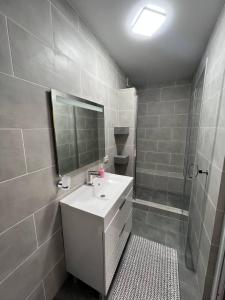 a bathroom with a sink and a shower with a mirror at Колібрі in Reni