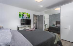 1 dormitorio con 1 cama y TV de pantalla plana en Amazing Apartment In Cavle With Kitchen, en Čavle