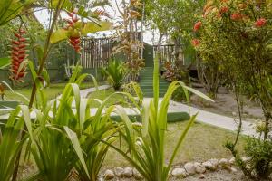 um jardim com muitas plantas e uma cerca em Pousada Sonhos de Praia, Fácil Acesso a Praia, Rua Mucugê e Beco das Cores em Arraial d'Ajuda