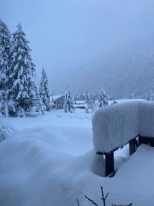 Ferienwohnung im Herzen Graubündens冬天相片