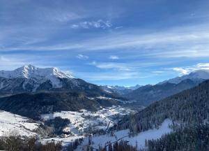 vistas a una cordillera con montañas cubiertas de nieve en Ferienwohnung im Herzen Graubündens, en Surava