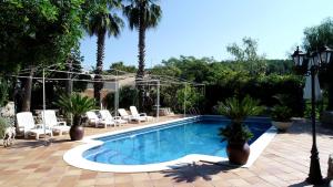 a swimming pool with chairs and palm trees in a yard at El Recer in Sant Pau dʼOrdal