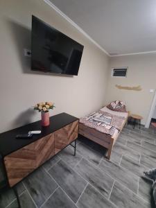 Televízia a/alebo spoločenská miestnosť v ubytovaní Tom Apartmans