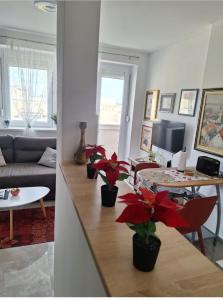 Posezení v ubytování Apartman u Zemunu