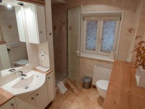 ein Bad mit einem Waschbecken und einem WC in der Unterkunft Apartment Rupertus-2 by Interhome in Maishofen