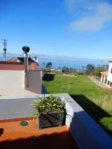 a plant on the roof of a house at Jasmine Guest Suite in Ponta do Pargo