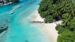an aerial view of a beach with palm trees at Maavaharu - K.Huraa in Huraa