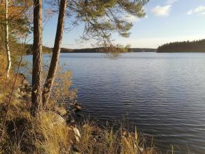uma vista para um lago com árvores e água em Holiday Home Linnusmaa by Interhome em Torvoila