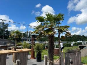 Ảnh trong thư viện ảnh của Apartment Penthouse by Interhome ở Uitgeest +33 ảnh