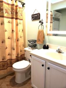 a bathroom with a toilet and a sink and a mirror at Black Bear Lodge @ Middle Creek in Stevens