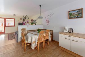 Kuchyň nebo kuchyňský kout v ubytování Apartment Pr' Kavač