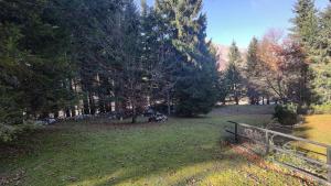 un parco con recinzione e un campo alberato di Collalto Guest House a Piancavallo