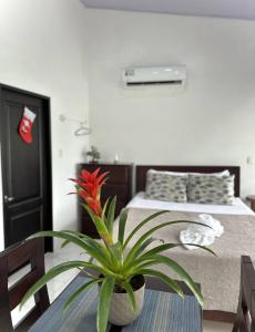 Voodi või voodid majutusasutuse Hotel Serendipity toas