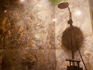 a shower in a bathroom with a stone wall at La Green suite in Lys-lès-Lannoy