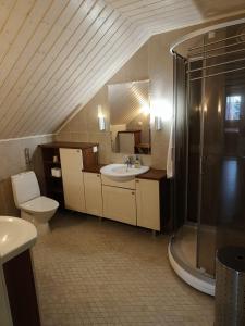 a bathroom with a toilet and a sink and a shower at Huvila Lohja in Lohja