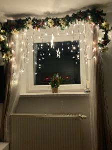 una finestra con luci di Natale e una composizione floreale di Boutique Apartments a Lubiana