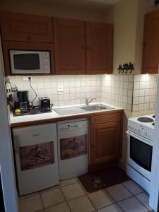 Kuchyň nebo kuchyňský kout v ubytování Chouette appartement au pied des pistes (4 max)