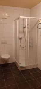 a bathroom with a shower and a toilet at Appartement Maurer in Niederau