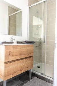 a bathroom with a sink and a shower at T2 Le Miredames in Castres