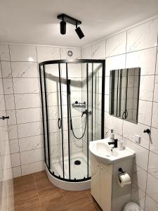 La salle de bains est pourvue d'une douche et d'un lavabo. dans l'établissement Willa Luna, à Karpacz