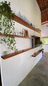a room with wooden shelves on the wall with plants at A Casa de Ponta-Simplicidade e Requinte -Estrutura Completa a 150m da praia in Maragogi