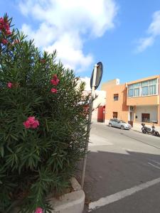 a stop sign next to a bush with pink flowers at Da Gianni in Pantelleria