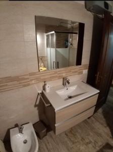 La salle de bains est pourvue d'un lavabo, d'un miroir et de toilettes. dans l'établissement Mansarda Natalia, à Gallio