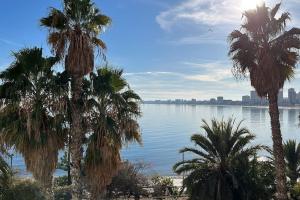 uitzicht op een waterlichaam met palmbomen bij Apto Cala Real Playa Muchavista - ElCampello in Alicante