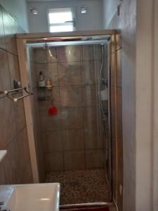 een douche met een glazen deur in de badkamer bij Joli T2 au bord de mer de Schoelcher in Schœlcher